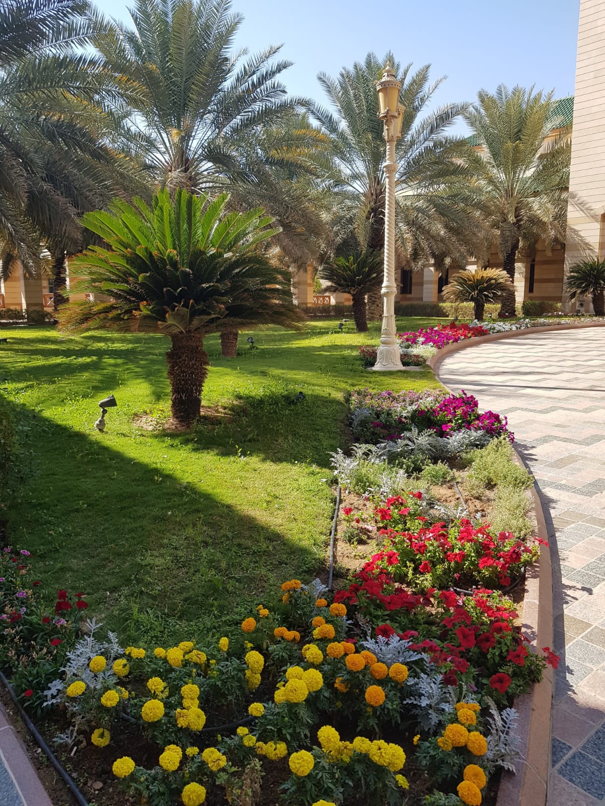 أحد مشاريع تنسيق الحدائق المنفذة من شركة الإتقان المبتكر